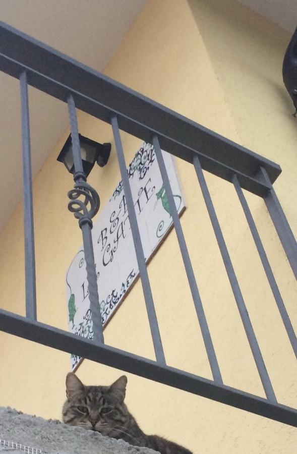 Le Gatte Bed & Breakfast Eboli Dış mekan fotoğraf